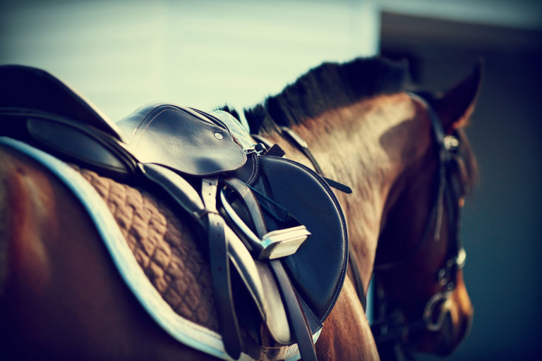 Op zoek naar het juiste paardenzadel