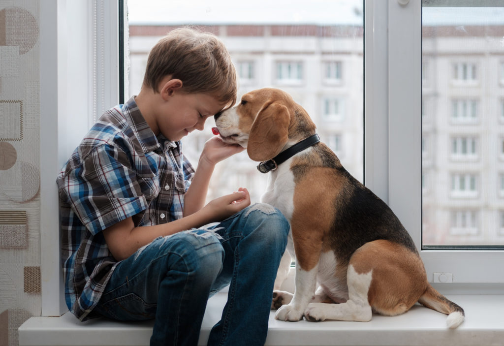 junge mit beagle hund Houdt mijn hond van mij