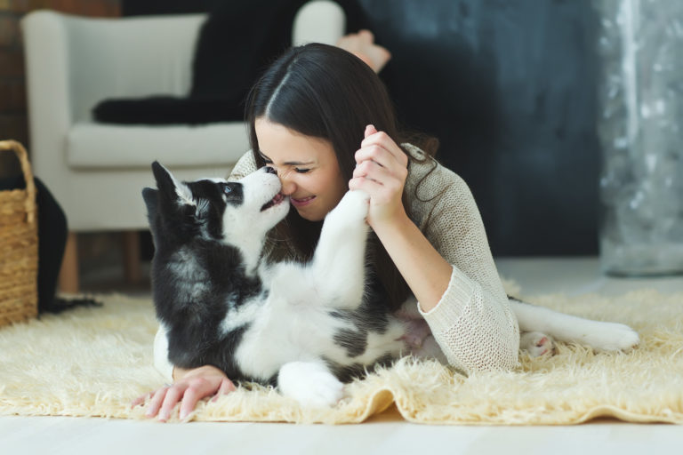 Houdt mijn hond van mij Houdt mijn hond van mij