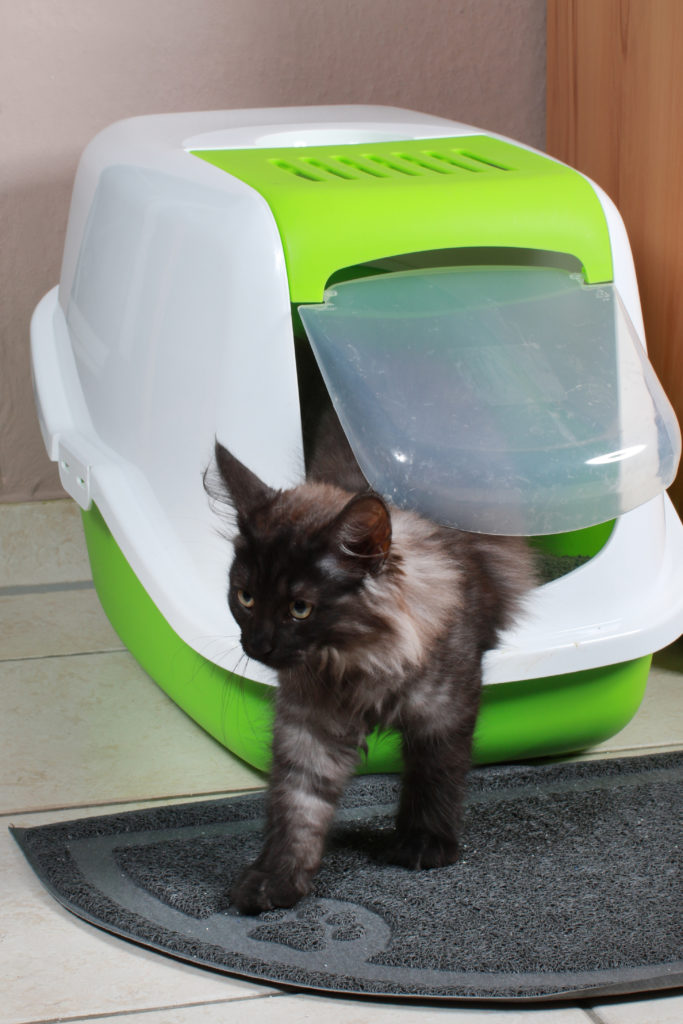 gesloten kattenbak gesloten kattenbak