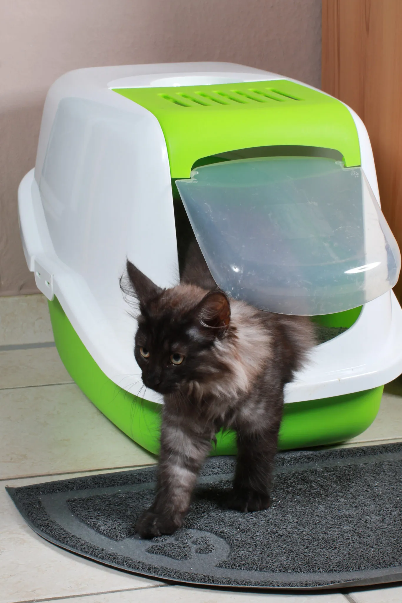 gesloten kattenbak