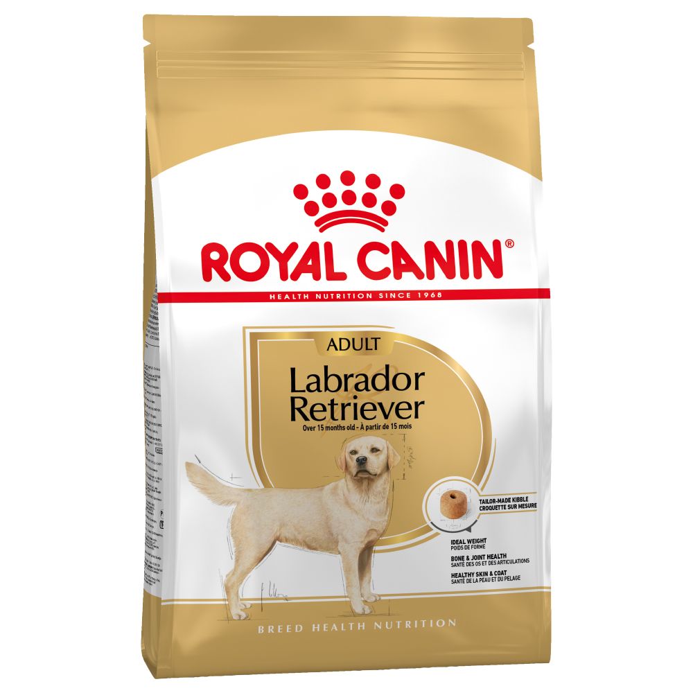 de juiste voeding voor je labrador retriever