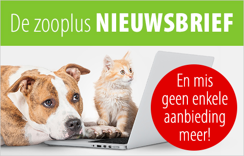 zooplus nieuwsbrief - en mis geen enkele aanbieding meer!