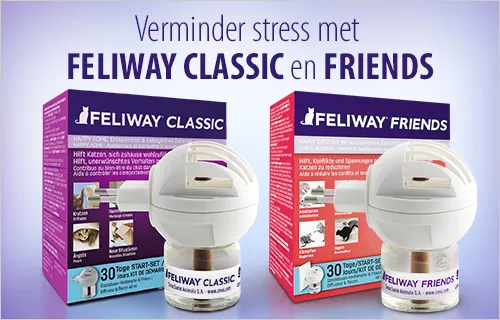 feliway