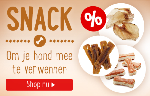 zooplus shop - snack, om je hond mee te verwennen