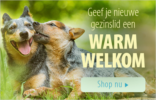 zooplus shop - geef je nieuw gezinslid een warm welkom