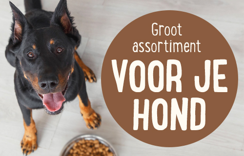 Groot assortiment voor je hond! - Zooplus Shop