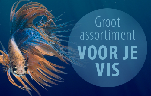 zooplus shop - groot assortiment voor je vis