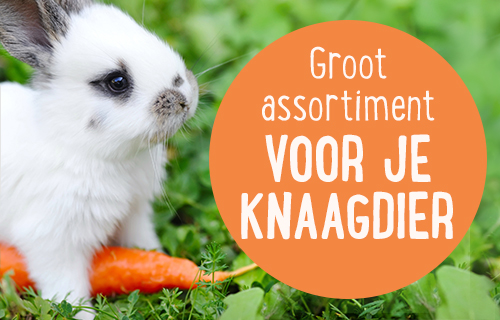 zooplus shop - groot assortiment voor je knaagdier