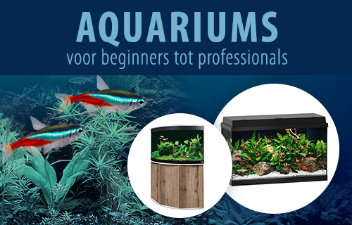 zooplus shop, aquariums - voor beginners tot professionals