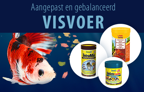 visvoer