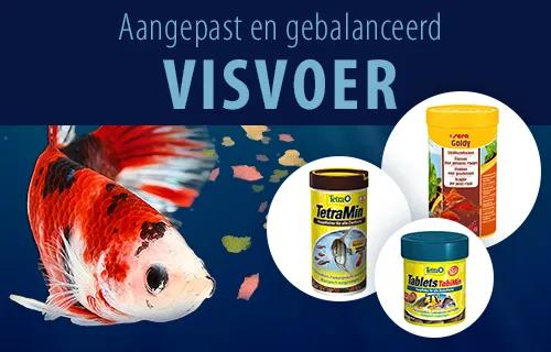 visvoer