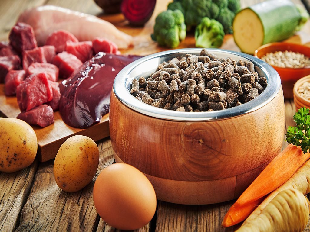 Superfood voor honden