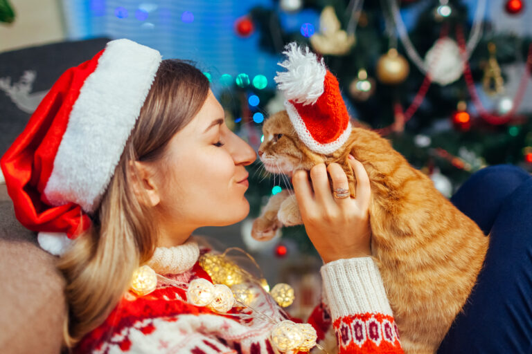 Kerstcadeaus voor katten