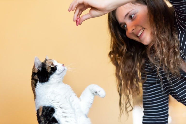katten trucjes aanleren