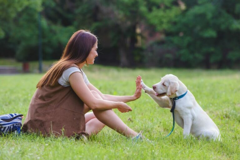 Uitlaten van je hond