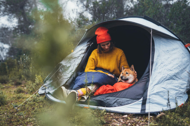 Kamperen met je hond