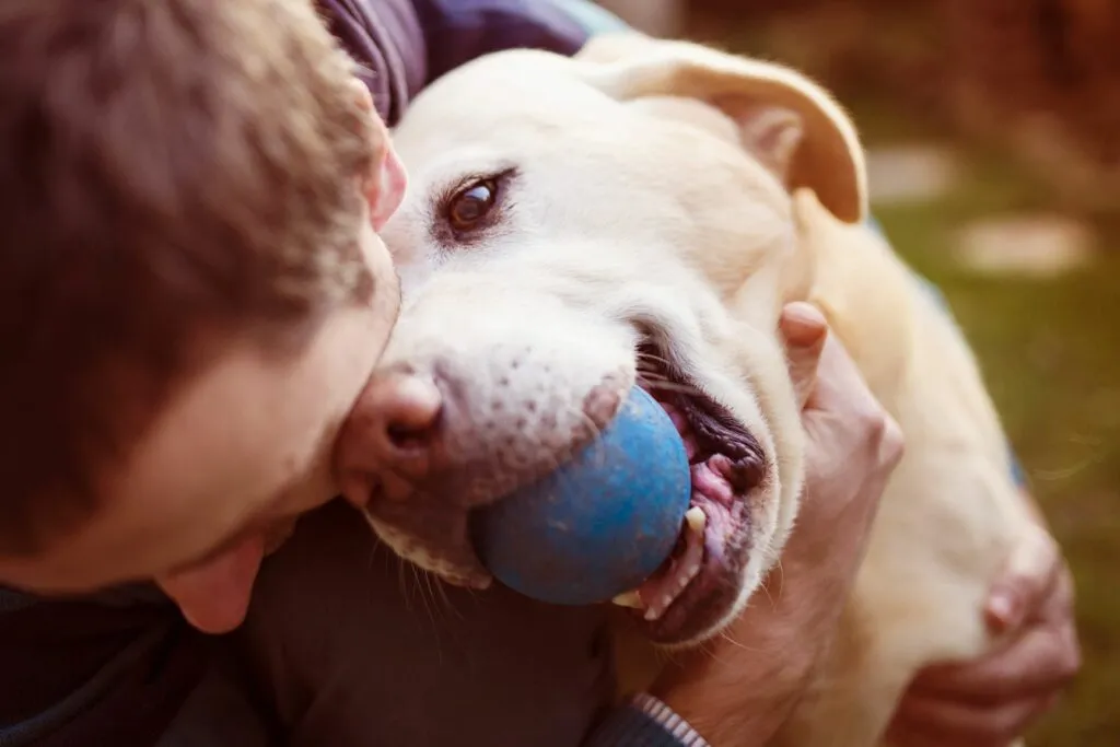Hond met bal