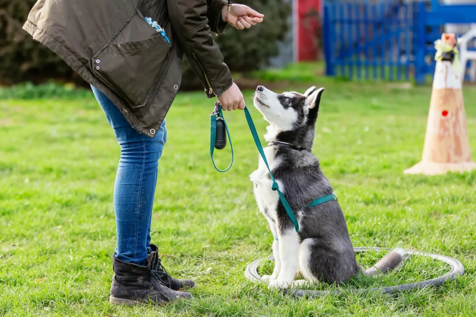 hond bij hondenschool