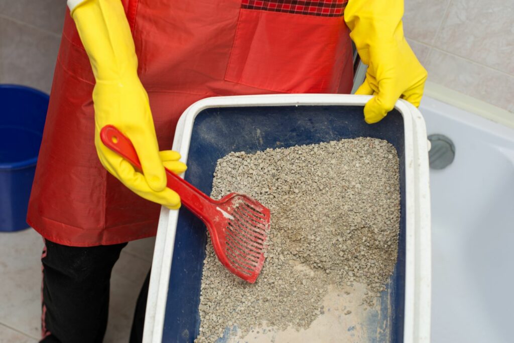 kattenbak met kattenbakvulling schoonmaken