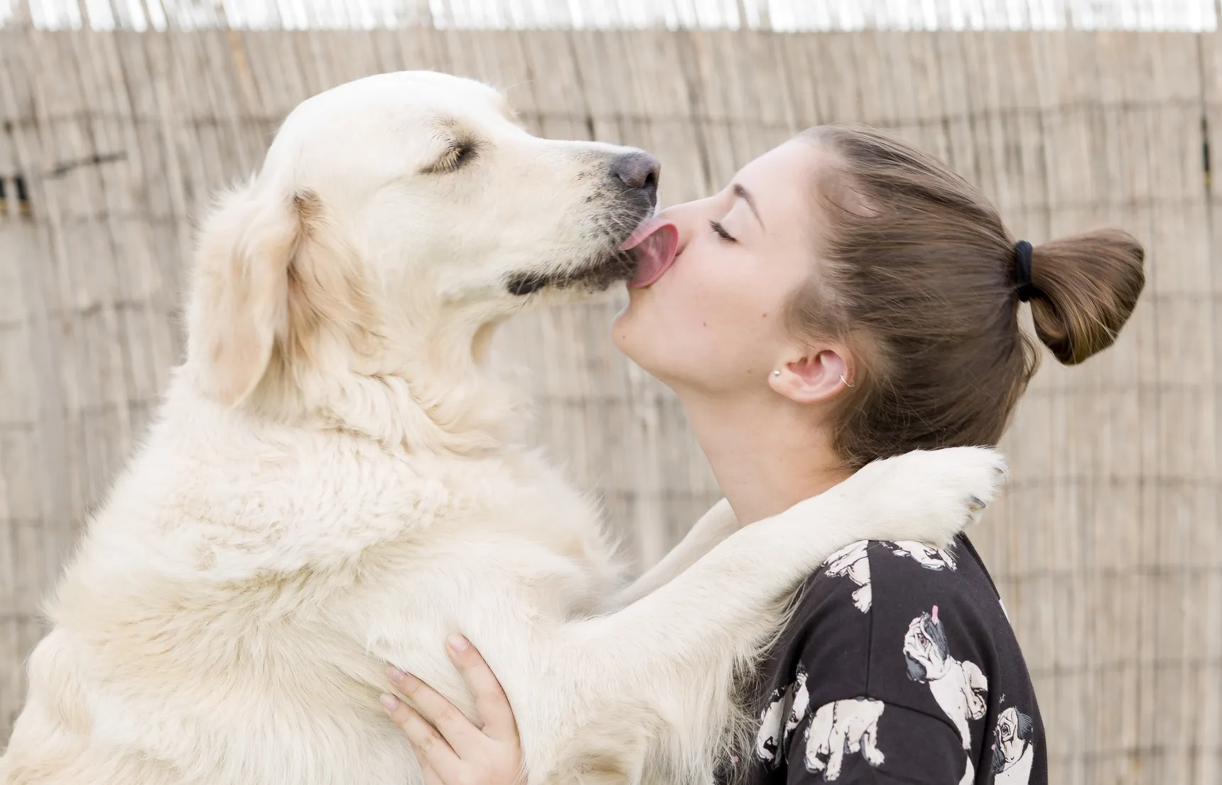 hond knuffelt vrouw