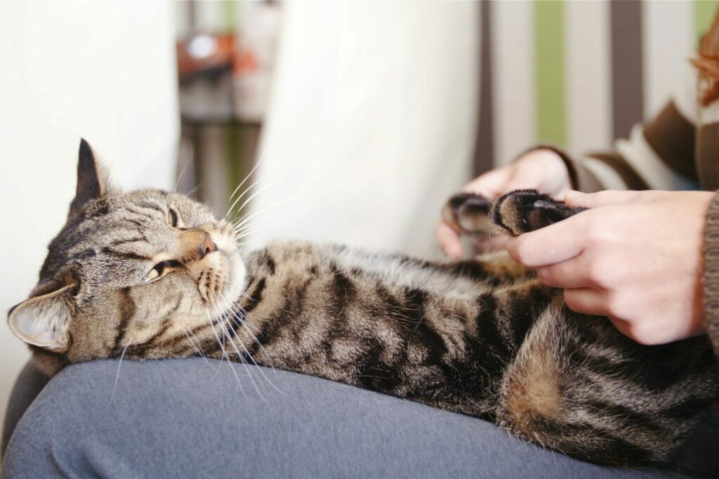 pootmassage pootmassage