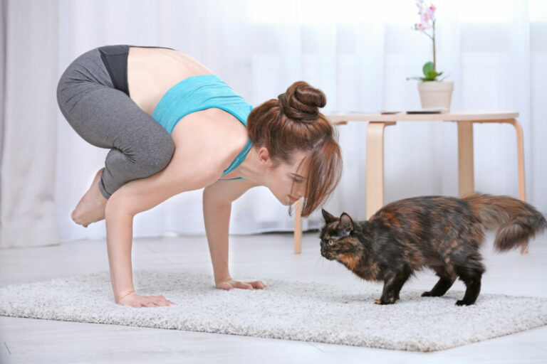 Vrouw doet kattenyoga