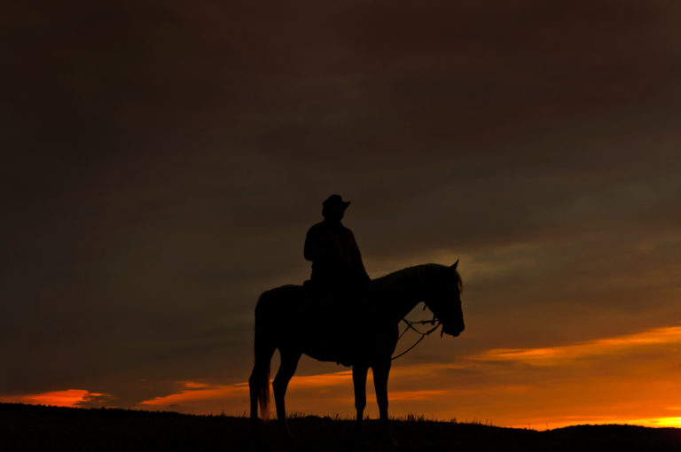 Ruiter met paard in het donker