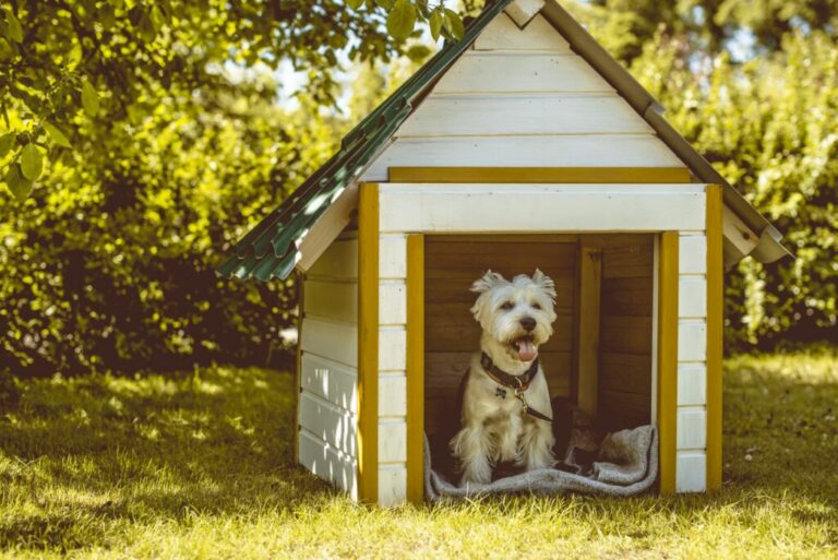 Hond in hondenhok