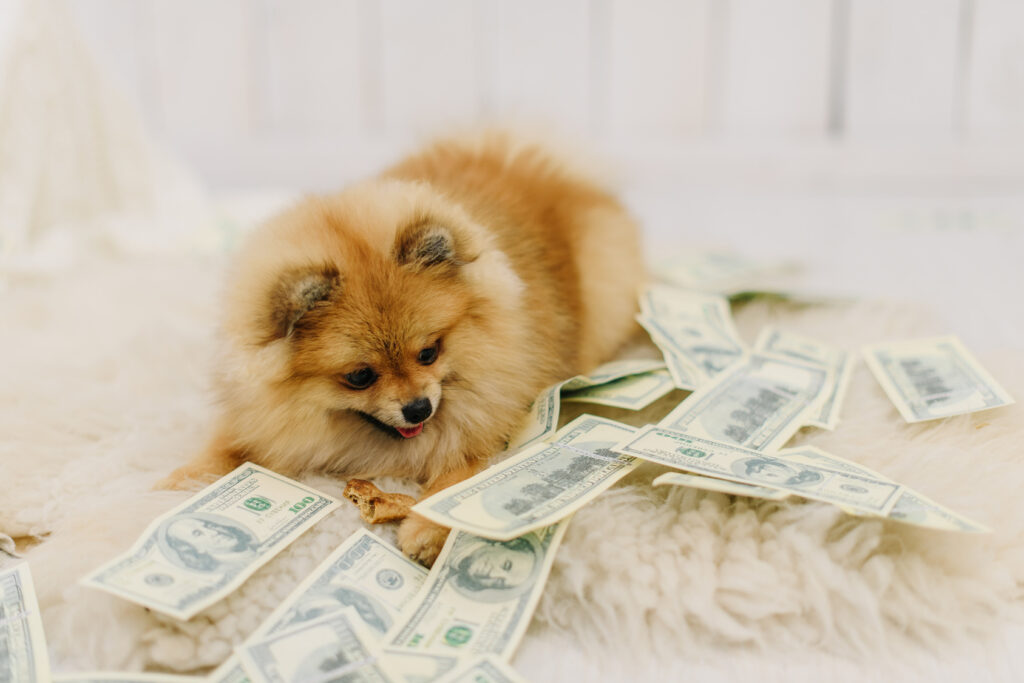 Hond met geld hondenbelasting