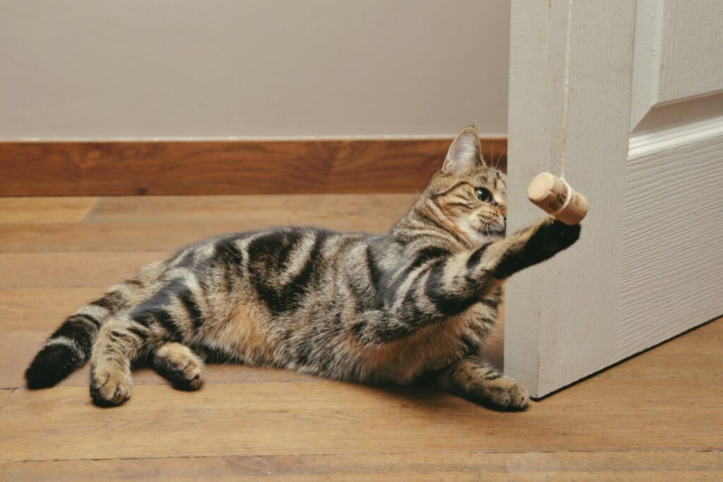 kattenhengel van kurk zelf kattenspeeltje maken kattenhengel met kurk