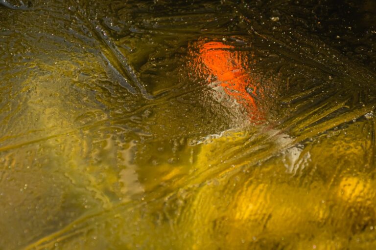 goudvis overwinteren in bevroren vijver