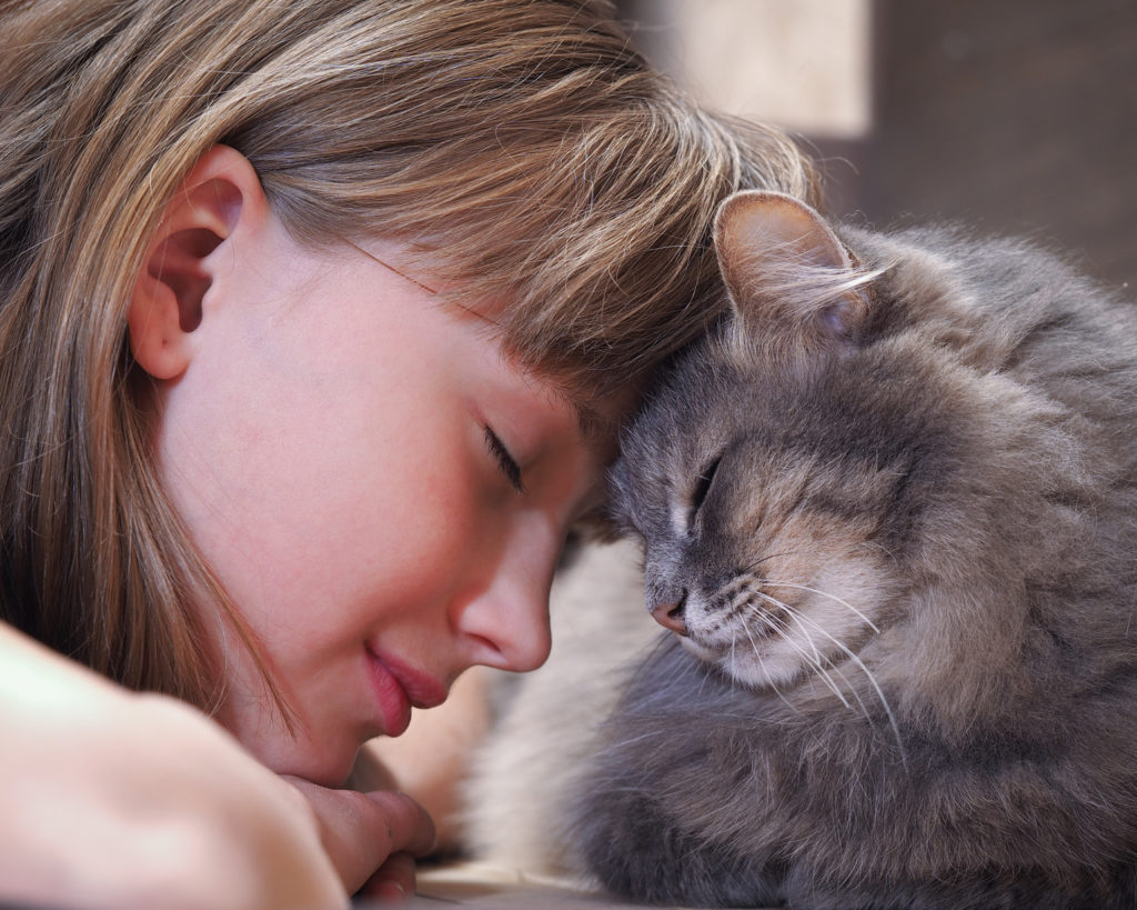 kat knuffelt met vrouw