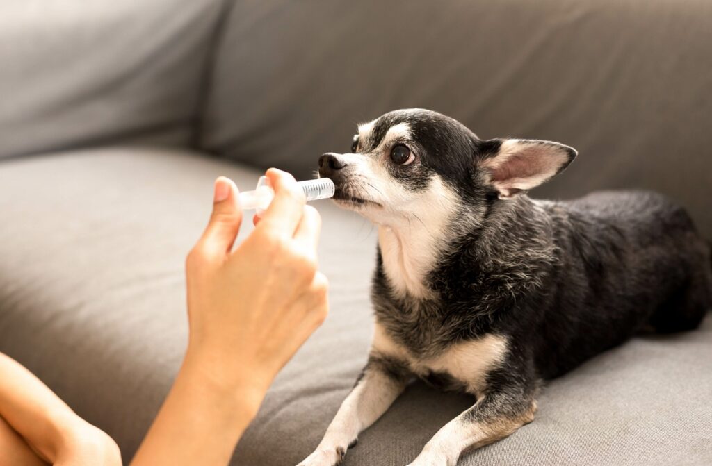 pijnstillers voor honden oplossen in water