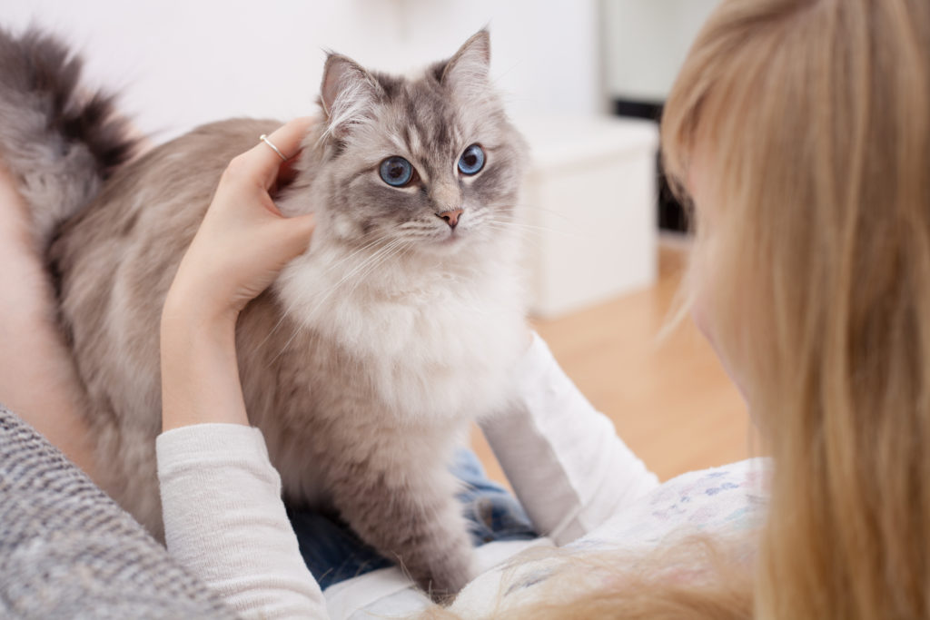 vrouw knuffelt kat