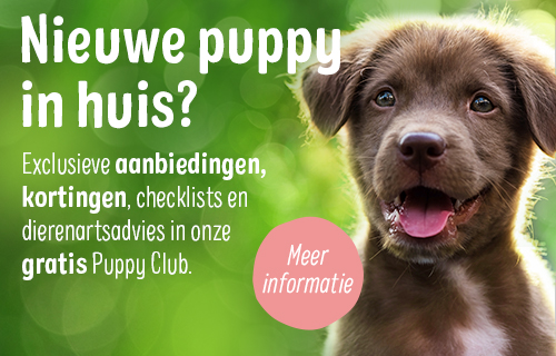 2022_12_PuppyClub_General_500x320_NL