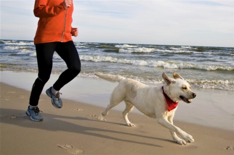 Baasje en hond op strand