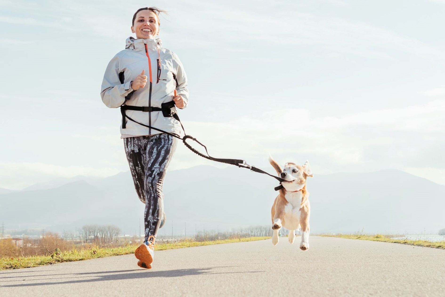 Joggen met de hond