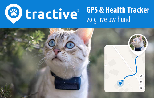 SmartTag Katzenhalsband, (1 Pack) Mini Tracker Ohne ABO für Katze, (nur