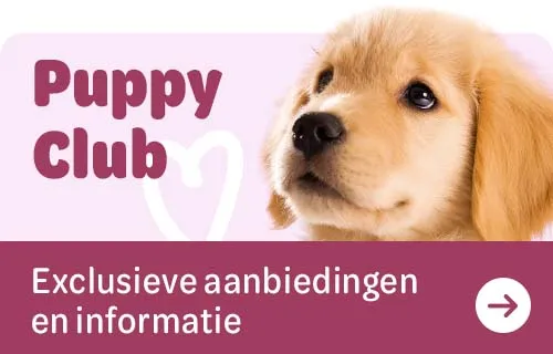 Puppy Club