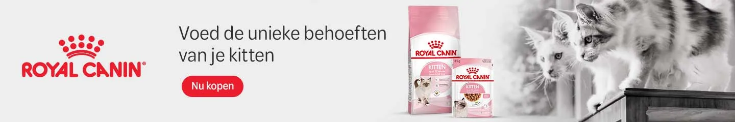 NL_kitten_range_royal_canin_1025