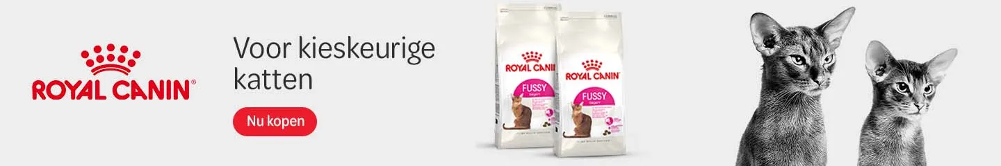 NL_RC_Fussy_Cats_Advertorial_1125