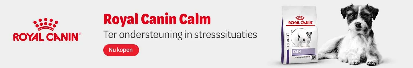 NL_RC_Calm_Dogs_Advertorial_1125