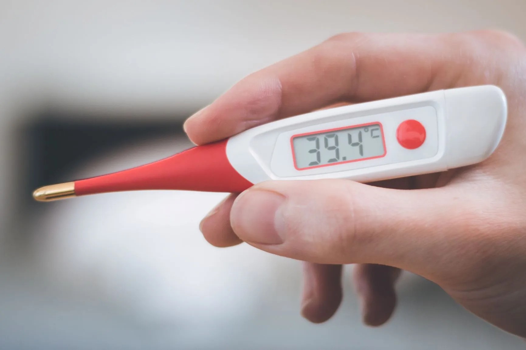 Koorts meten bij je hond met een koortsthermometer