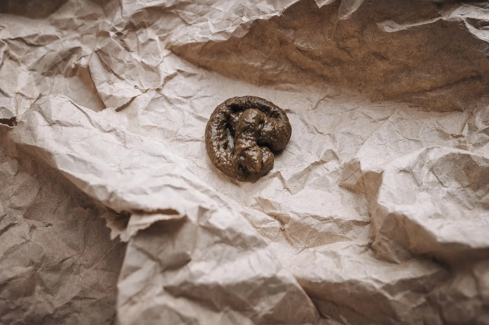 ideale consistentie en kleur van kattenpoep