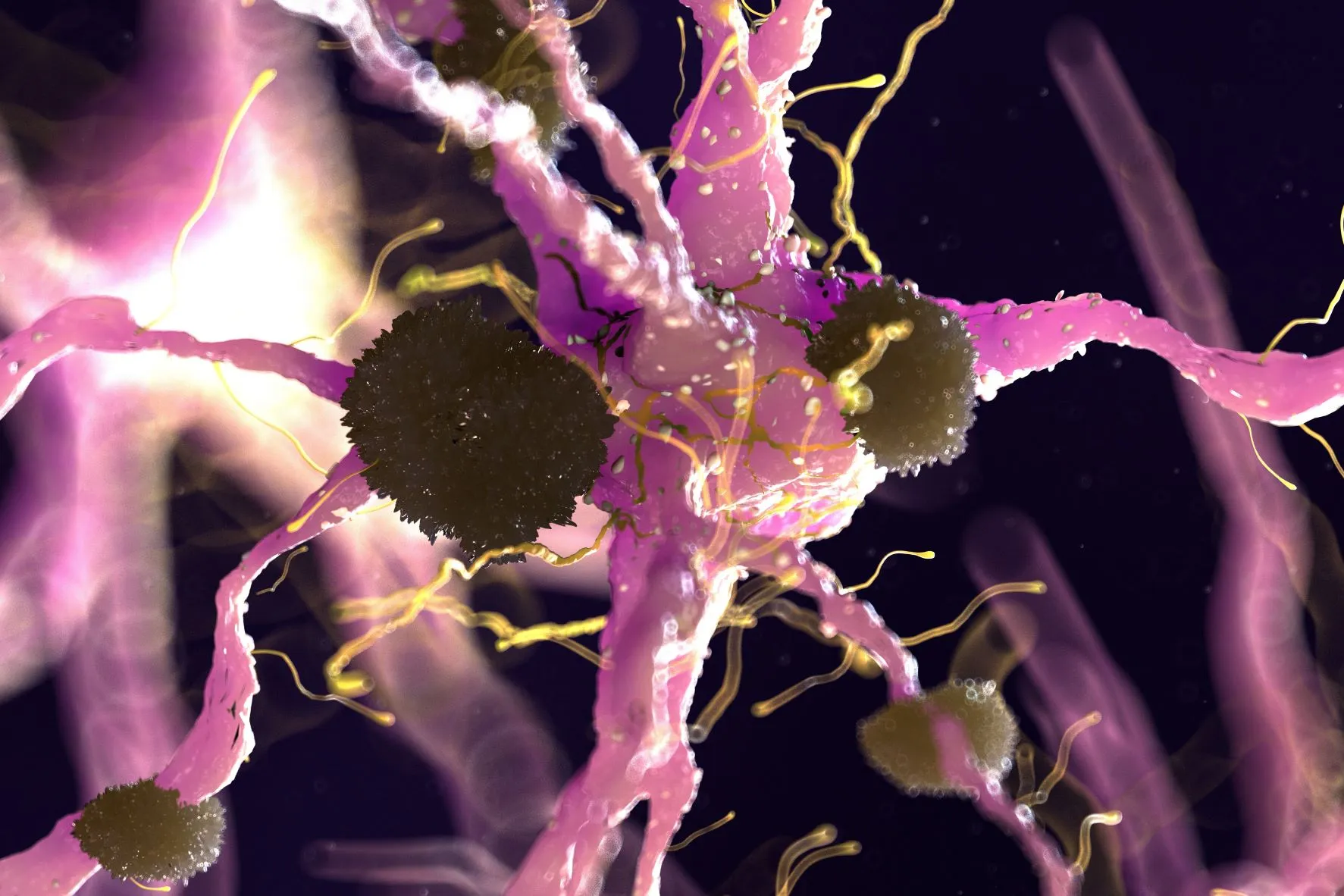 Zenuwcellen Alzheimer kat