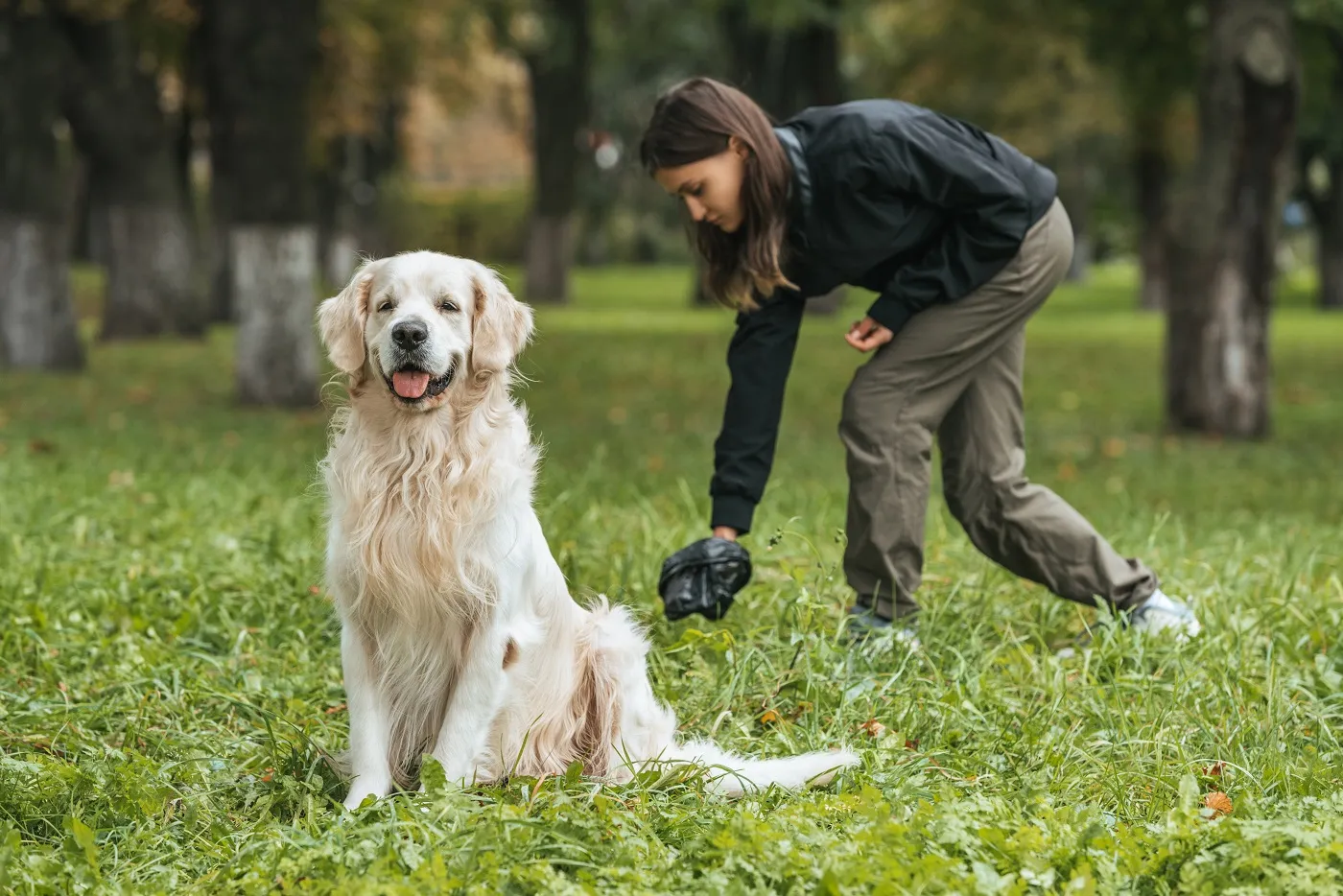 Ontlastingsmonster van een hond voor onderzoek op wormen